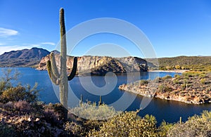 Saguaro Lake Panorama with Desert Cactus Foreground View