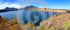 Saguaro Lake Panorama with Desert Cactus Foreground View