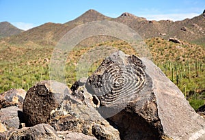 Saguaro National Park