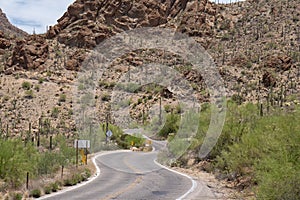 Saguaro National Park - Gates Pass road