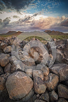 Saguaro National Park Petroglyphs