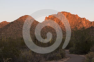 Saguaro National Park Sunset in Arizona