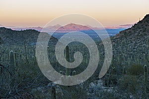 Saguaro National Park Sunset in Arizona