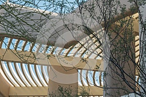 Saguaro National Park, visitor center shade