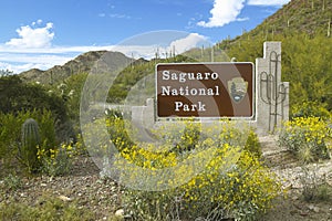 Saguaro National Park West photo