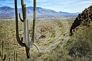 Tucson photo