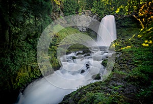 Sahalie Falls Waterfall - Willamette National Forest - Oregon