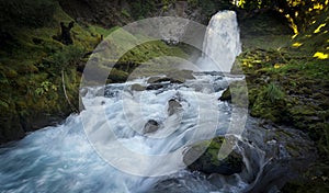 Sahalie Falls Waterfall - Willamette National Forest - Oregon