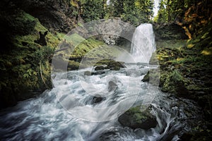 Sahalie Falls Waterfall - Willamette National Forest - Oregon