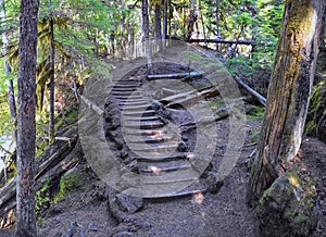 Sahalie Koosah Tamolitch falls hiking trail on McKenzie river, Williamette National Forest, Cascade Mountains, Oregon.