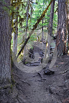 Sahalie Koosah Tamolitch falls hiking trail on McKenzie river, Williamette National Forest, Cascade Mountains, Oregon.