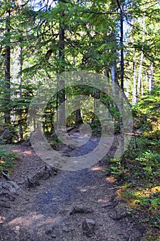 Sahalie Koosah Tamolitch falls hiking trail on McKenzie river, Williamette National Forest, Cascade Mountains, Oregon.