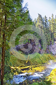 Sahalie Koosah Tamolitch falls hiking trail on McKenzie river, Williamette National Forest, Cascade Mountains, Oregon.