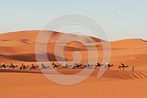 Sahara photo
