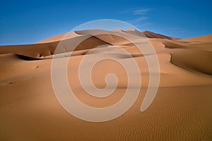 Sahara