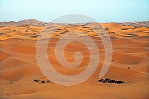 Sahara Desert