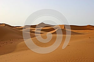 Sahara desert