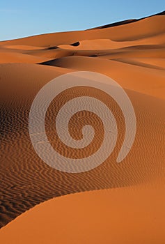 Sahara Desert