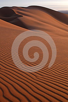 Sahara Desert