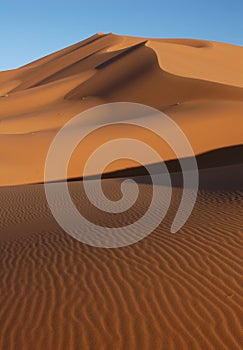 Sahara Desert