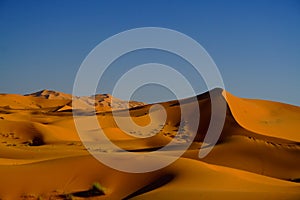 Sahara Desert