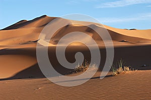 Sahara Desert