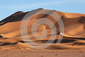 Sahara Desert