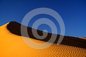 Sahara Desert