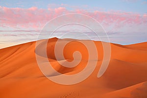 Sahara desert