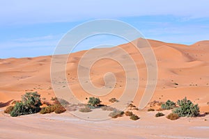 Sahara desert