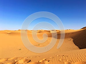 Sahara Desert, Beni Abbes, Bechar, Algeria