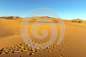 Sahara Desert with blue sky in Morocco, Africa