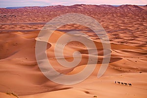 Sahara Desert photo