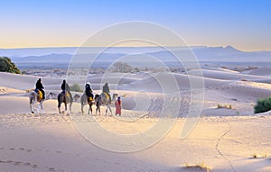 Sahara desert camel trekking tour with berber adventure dromadaires horse riding and berber guiding excursion