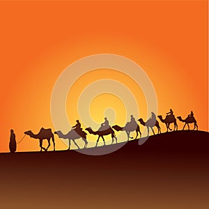Sahara desert and camels