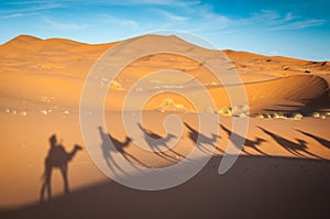 Sahara desert camels trekking tours with berbers adventure dromadaires riding and berber guiding excursion