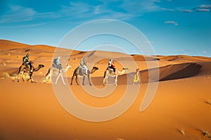 Sahara desert camels trekking tours with berbers adventure dromadaires riding and berber guiding excursion
