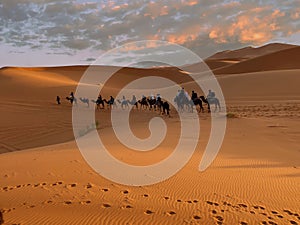 Sahara Desert Caravan In Morocco