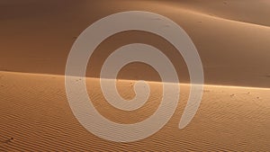Sahara desert dune texture background graphic pattern