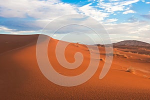 Sahara - Desert Dunes