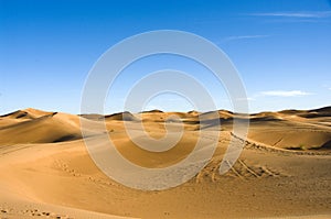 Sahara desert dunes