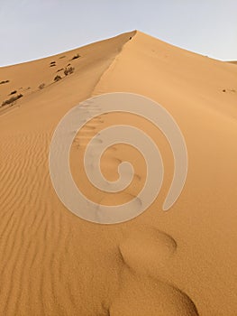 Sahara desert dunes in Marocco