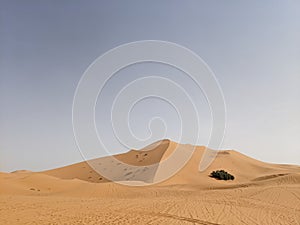 Sahara desert dunes in Marocco