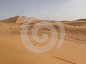 Sahara desert dunes in Marocco