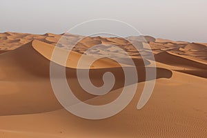 Sahara Desert