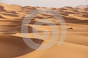 Sahara Desert