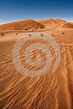 Sahara desert, Erg Chebbi