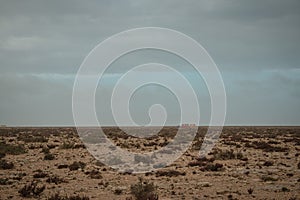 Sahara Desert in Mauretania, Western Africa.