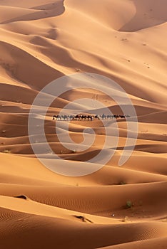 Sahara Desert in Merzouga, Morocco