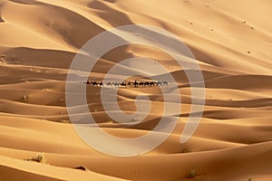 Sahara Desert in Merzouga, Morocco photo
